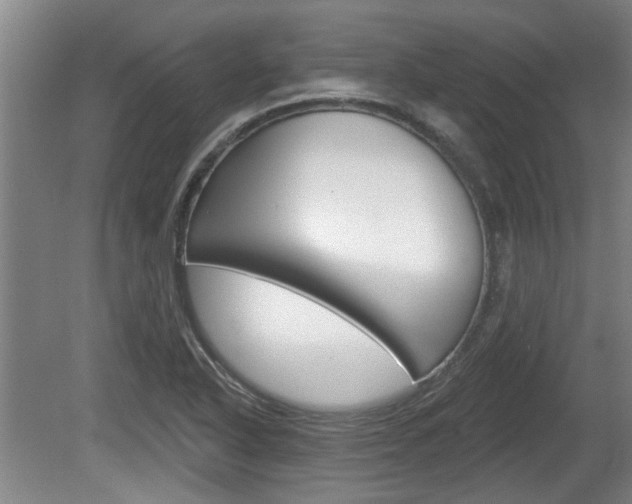 X0000078871318200611131018