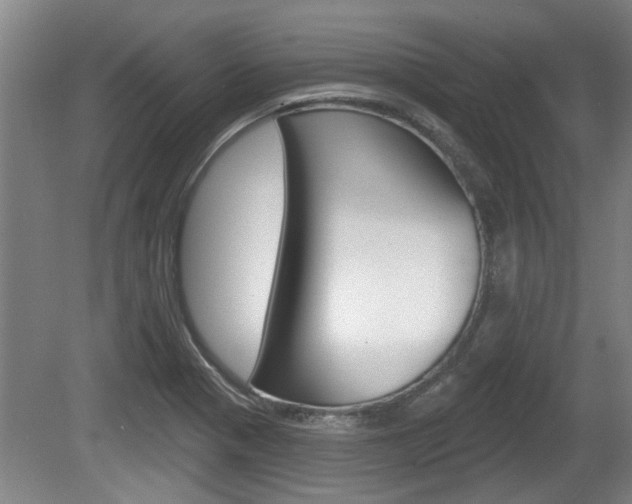 X0000078871321200611131018