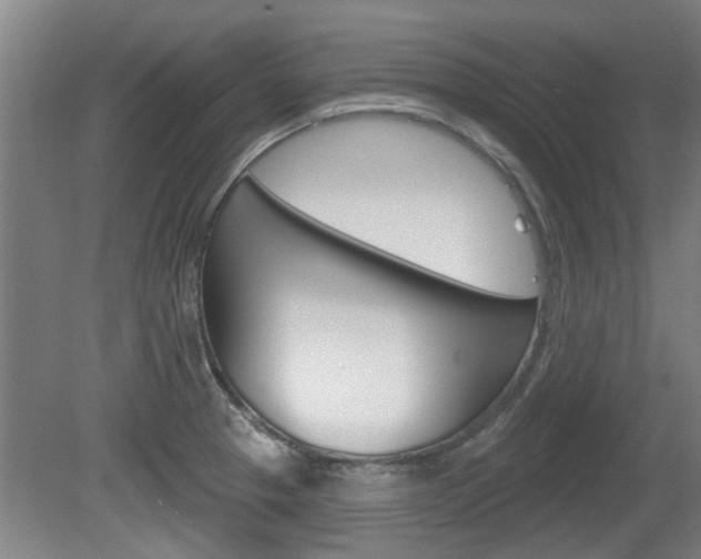 X0000078871329200611131018
