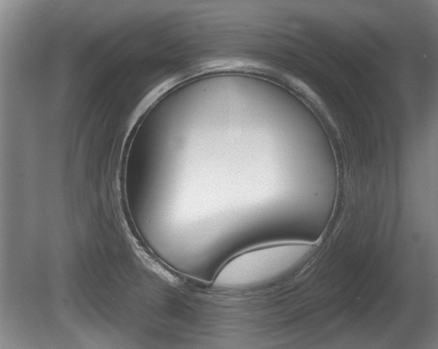 X0000078871330200611131018