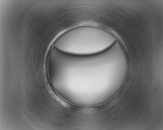 X0000078871331200611131018