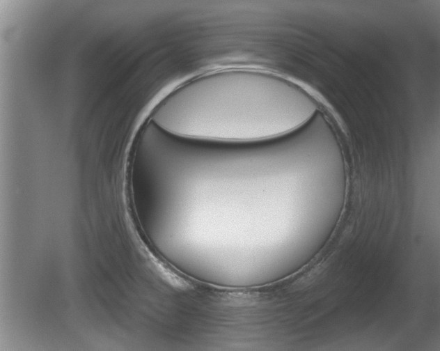 X0000078871333200611131018
