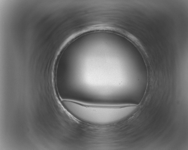 X0000078871334200611131018