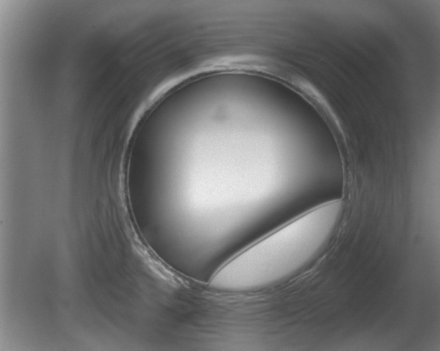 X0000078871336200611131018