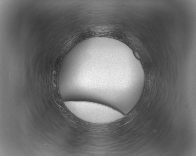 X0000078871346200611131017