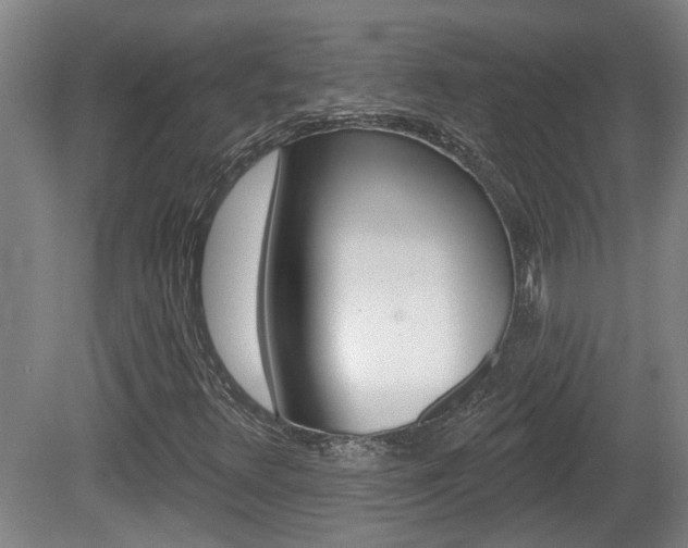 X0000078871348200611131017