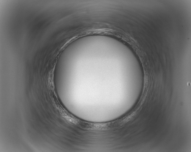 X0000078871353200611131017