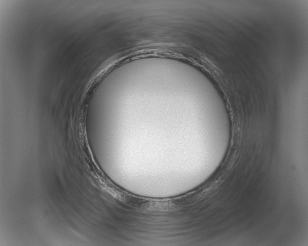 X0000078871354200611131017