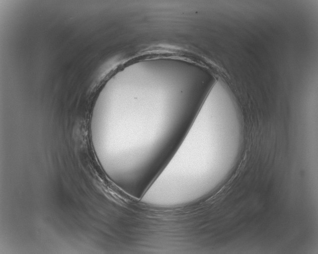 X0000078871355200611131017