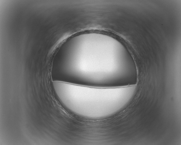 X0000078871359200611131017