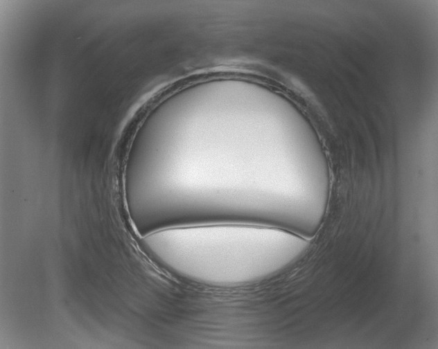 X0000078871360200611131017
