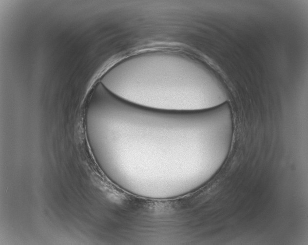 X0000078871362200611131017