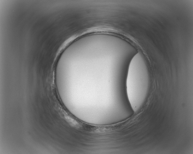 X0000078871366200611131017