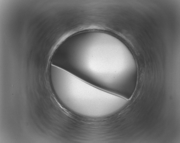 X0000078871367200611131017