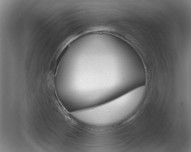 X0000078871369200611131017
