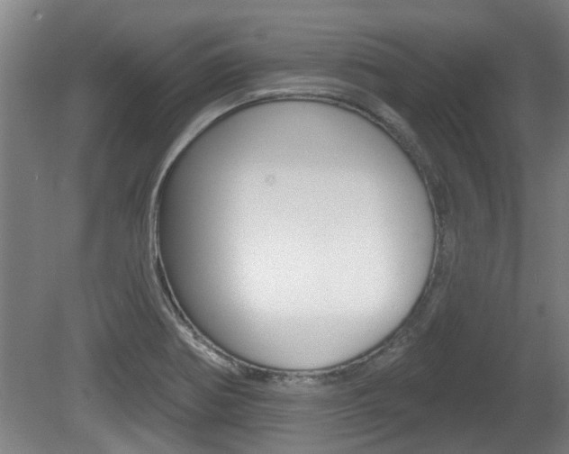 X0000078871370200611131017