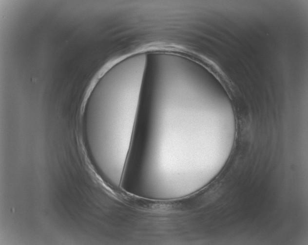 X0000078871371200611131017
