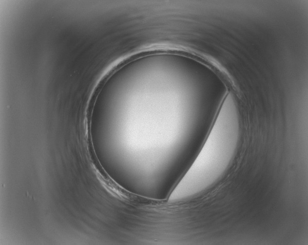 X0000078871372200611131017