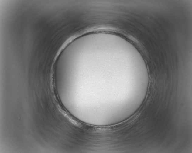 X0000078871374200611131017