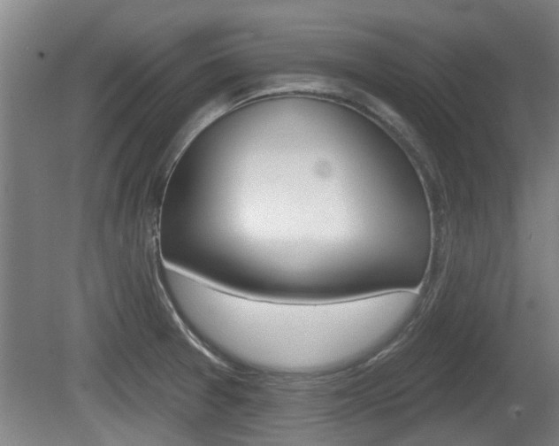 X0000078871377200611131017