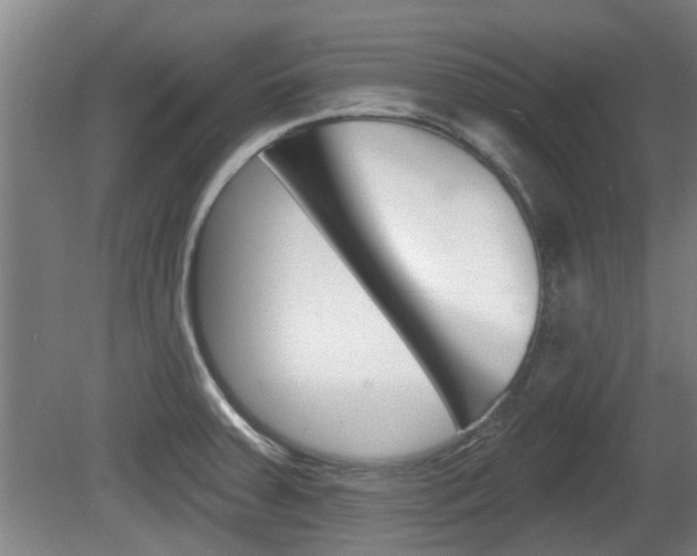 X0000078871379200611131017