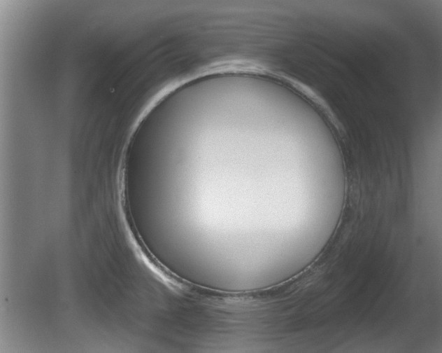 X0000078871383200611131017