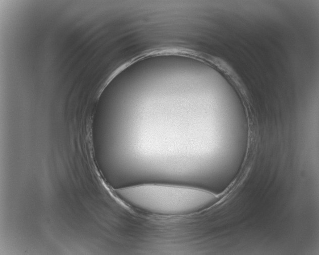 X0000078871385200611131017