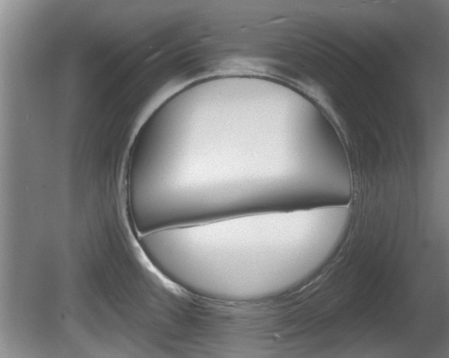 X0000078871387200611131017
