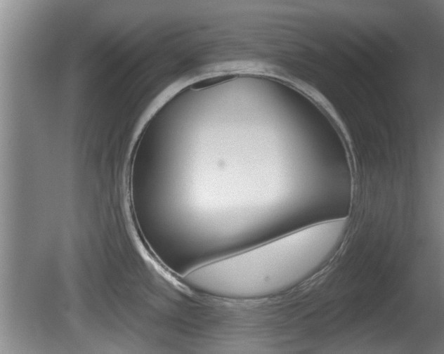 X0000078871389200611131017