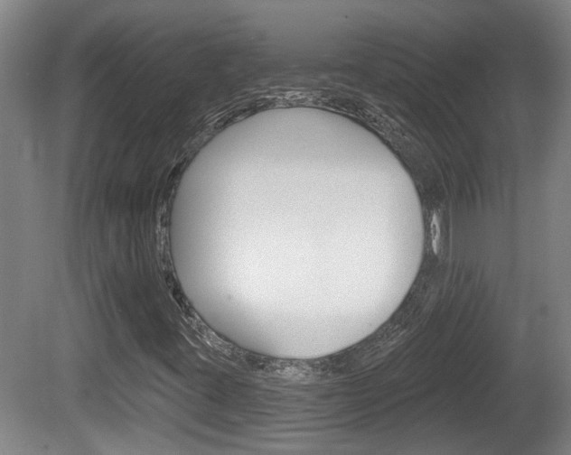 X0000078871395200611131016
