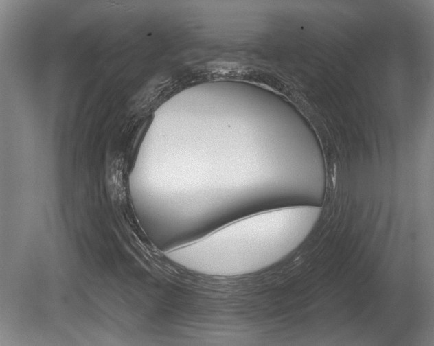 X0000078871396200611131016