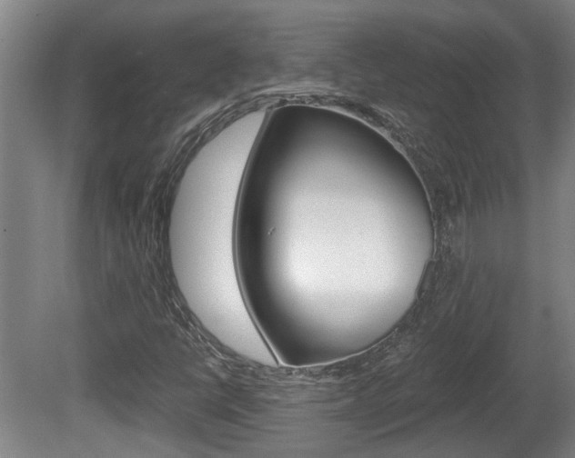 X0000078871398200611131016
