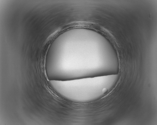 X0000078871403200611131016