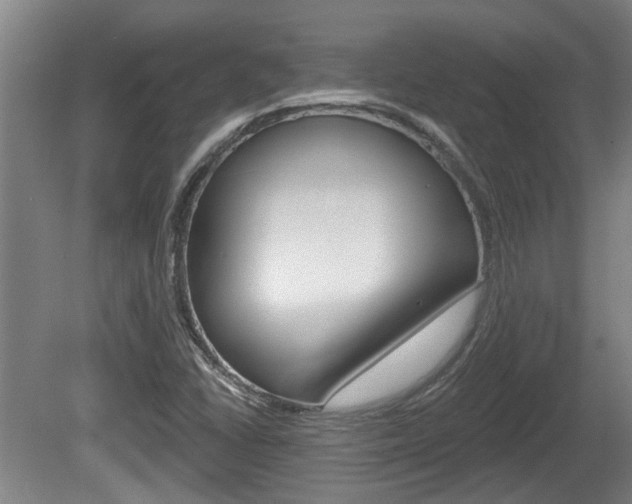 X0000078871406200611131016