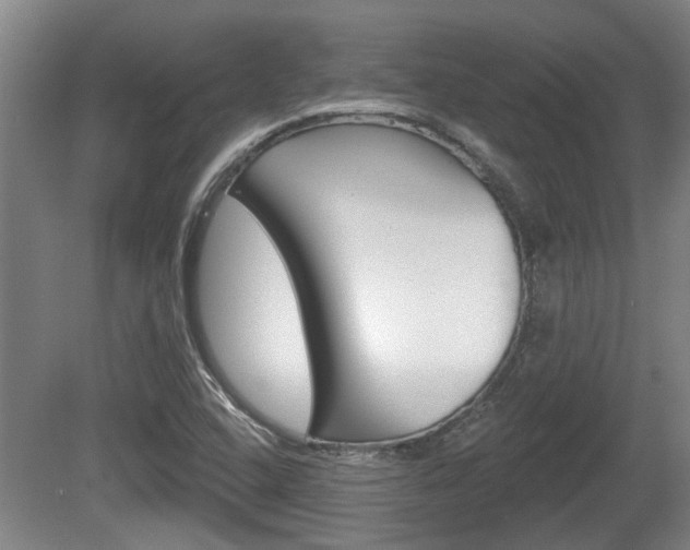 X0000078871408200611131016