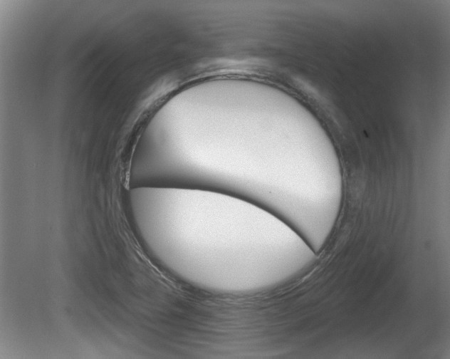 X0000078871411200611131016