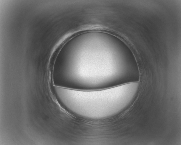 X0000078871414200611131016