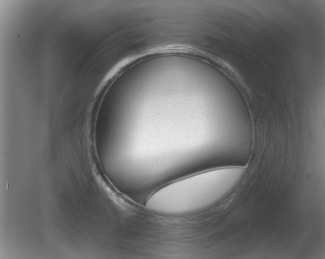 X0000078871422200611131016
