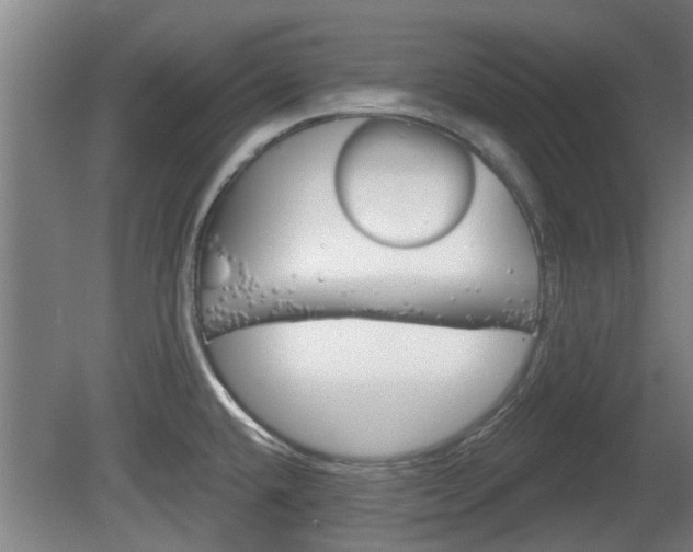 X0000078871432200611131016
