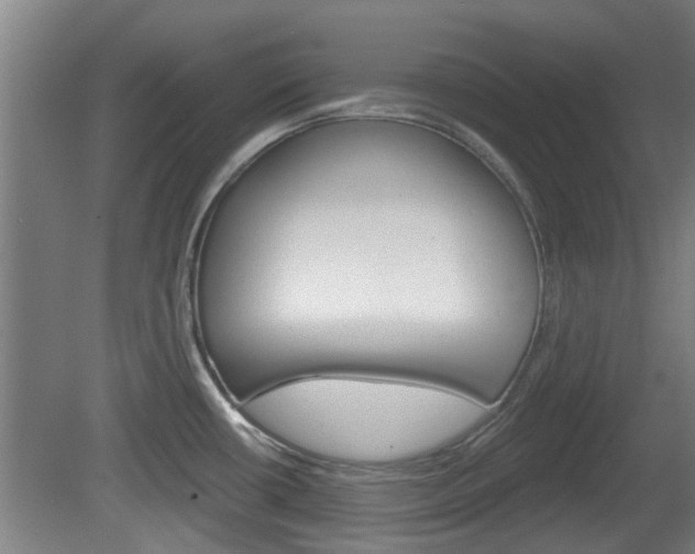 X0000078871434200611131016