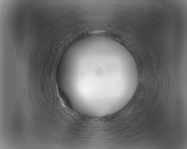 X0000078871441200611131016