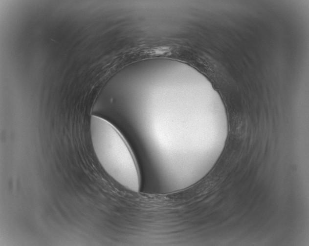 X0000078871442200611131016