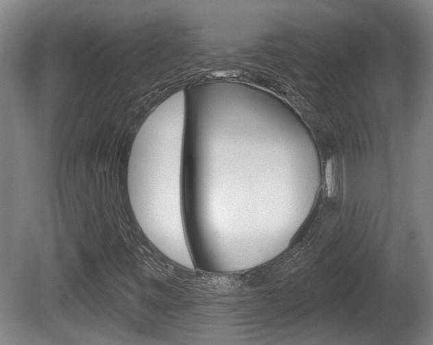 X0000078871443200611131016