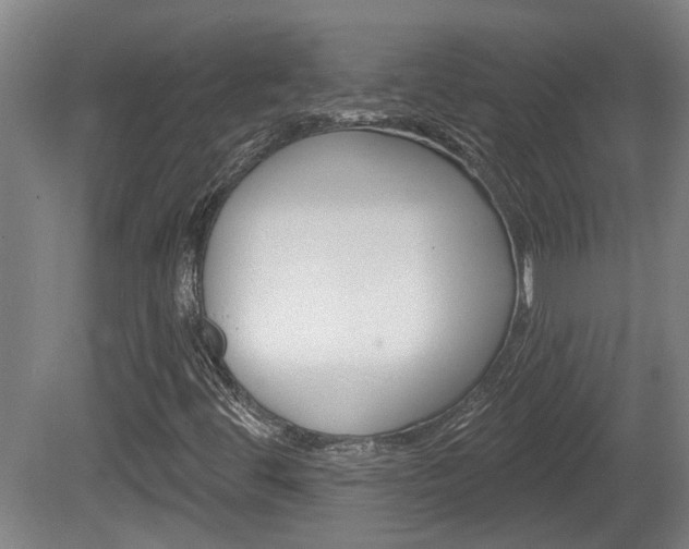 X0000078871444200611131016