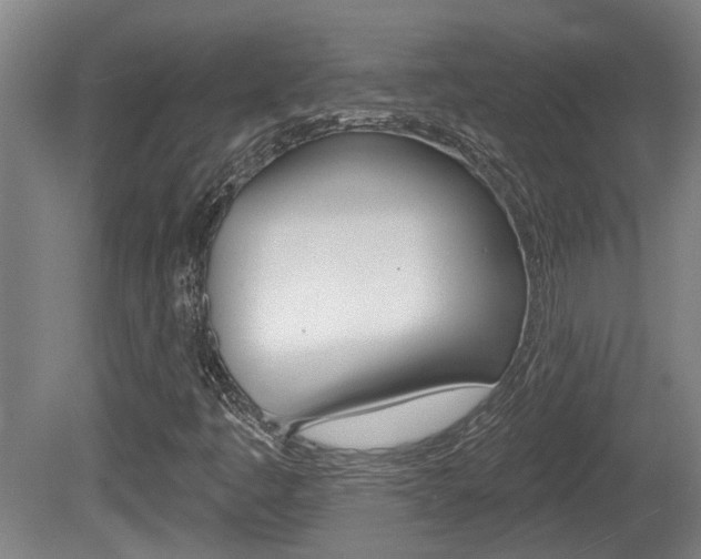 X0000078871445200611131016