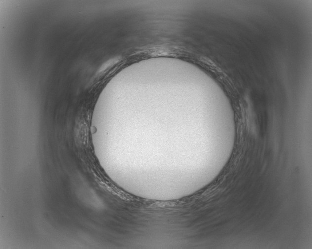 X0000078871446200611131016