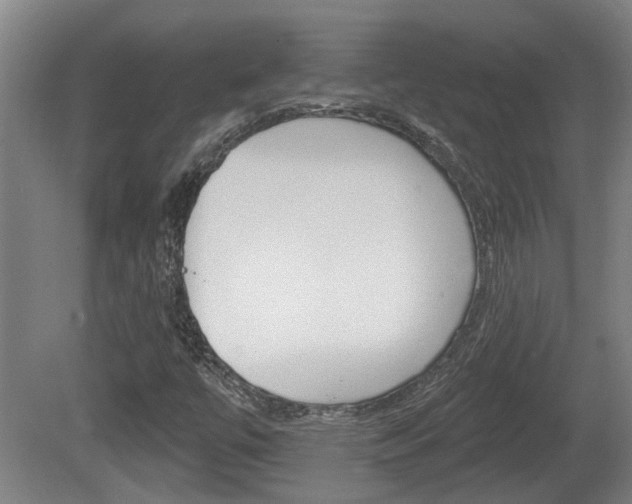 X0000078871447200611131016