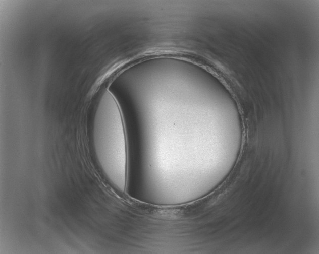 X0000078871453200611131016