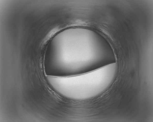 X0000078871455200611131016