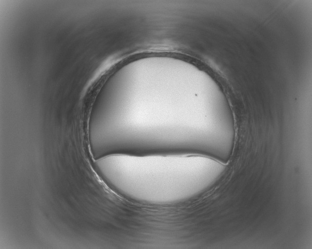 X0000078871456200611131015